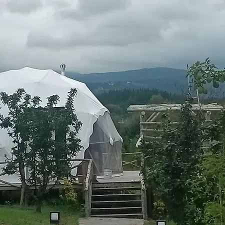 Dome 豪华帐篷 萨潘贾