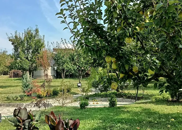 אוהל מפואר Dome